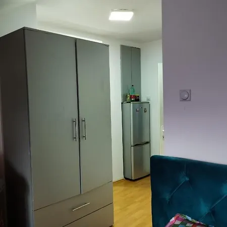 Apartment Sokobanja Soko Banja