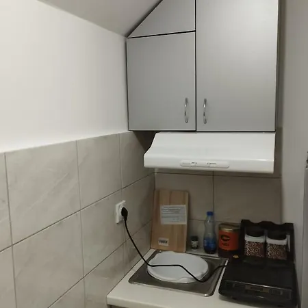 Apartment Apartment Sokobanja Soko Banja